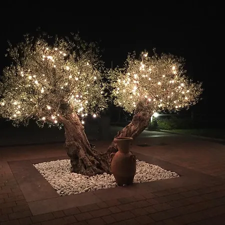 Podere Dell'angelo *