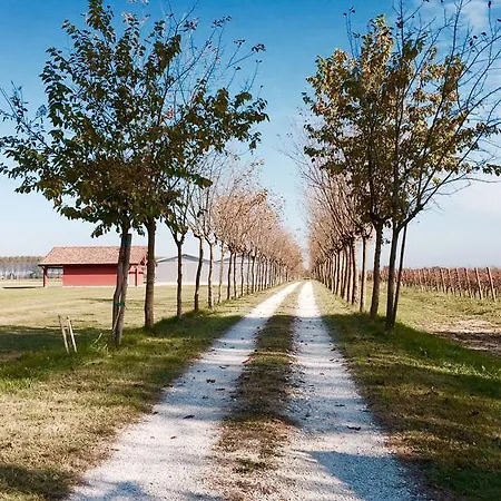 Landsted Podere Dell'angelo Pasiano Di Pordenone