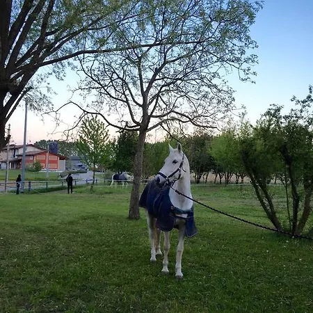 Podere Dell'angelo Casa de Campo Pasiano Di Pordenone